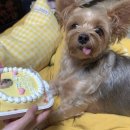 카페위드멍냠 이미지