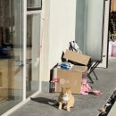 천북농협하나로마트 이미지