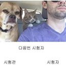 김포자동차운전전문학원