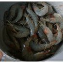 증암마을 이미지