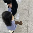 (주)엔젤렌터카 | 22개월 아기랑 제주여행-1) 우진해장국, 카페 진정성 종점, 아르떼키즈파크, 흑백요리사 송훈셰프...