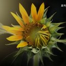 효자실버요양원 | 안심할 수 있는 울산 중구 요양원 효자실버요양원 편안한 노후를 위한 선택