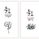 디자인늘품