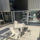 개린이살롱 이미지