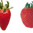 광택농장 이미지