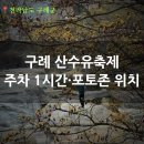 남문4리마을회관 옆 | 구례 산수유마을 개화 현황 및 주차 1시간 걸려서 들어간 후기