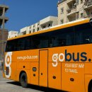 [이집트] 고버스gobus 타고 후르가다에서 룩소르 이동하기 (고버스 어플 예약하기)
