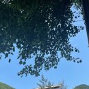 편백연 관광농원 이미지