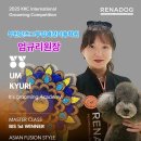 잇츠그루밍애견미용학원