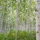 양구백자박물관 이미지