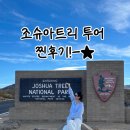 (주)쿠폰트리투어 | 내돈내산)엘에이 조슈아 트리 투어 추천, 옷차림, 할인쿠폰, 당일투어, 투어코스,가격비교(여구가)