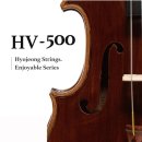 바이올린(중급) 이미지