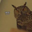 혜인2농장 이미지