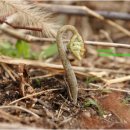 지리산골짝 이미지