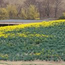 저수지목장 이미지