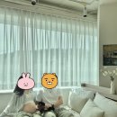 남경빌딩 | [내돈내산]부산 셀프 만삭사진 후기, 부산 렌탈스튜디오(멜로우렌탈스튜디오)