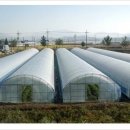 하우스 말로 이미지