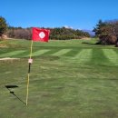 롯데스카이힐제주CC 이미지