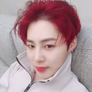 궁금해요 Daum카페