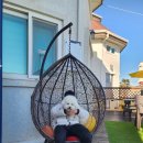 해돋이 가자 애견펜션 이미지