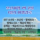 금송하우스 | 부산여행 1박2일 &#39;1일차 코스&#39; 부산 커플여행 뚜벅이 경로 추천