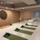 성북녹십자약국 이미지