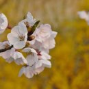 오늘도예쁘게 이미지