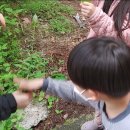 마운틴캠핑장 이미지