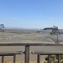 무안황토갯벌랜드 이미지