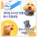 신원동물메디컬센터 | 용인강아지파양 따뜻한 아이조아