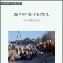 그라시아 이미지