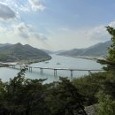 플럼트리 이미지