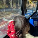 태사2길 이미지