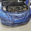 양산 반달곰 카센타 이미지