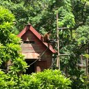 보행자도로대(특)2-1 | 오키나와 자유여행 2-1일차 - 오키나와 버스 이용, 네오파크 오키나와 자세한 후기//뚜벅이 오키나와 여행