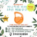 리라하프 이미지