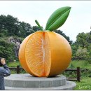 감귤박물관 이미지