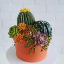 자연케이크