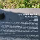 용월리지석묘군 | 함평 용월리 지석묘군 팔열부정각 예덕리 고분군 아이와 가볼만한 곳 / 2024 남도에서 한달여행하기...