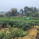 상효2동마을회관 이미지