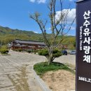 이천백사산수유영농조합 이미지