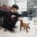 광탄은지떡방앗간 | 26. 01. 23