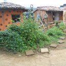 천하농장 이미지