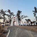 호랑가시나무민박 이미지