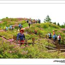 산덕마을 이미지