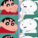 명지오션시티동물병원 이미지