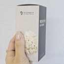 정가진면역연구소 에피바이오틱스 발효 꽃송이버섯 유산균