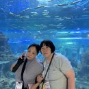 제주도 아쿠아플라넷 이미지