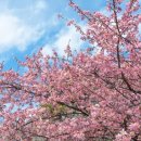 상순목장 이미지