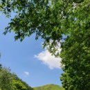 호두나무캠핑장 이미지